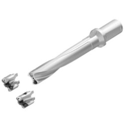 (S22) WD32FDS36244M CORPO...