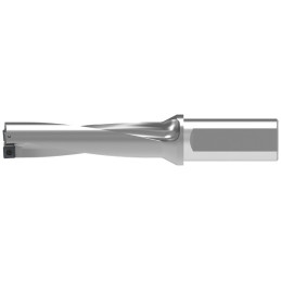 (S22) U44 52000 PUNTA KOMET 