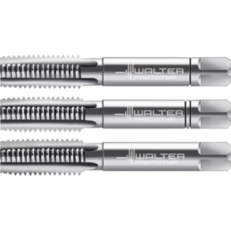 (S22) 30060-M20 SERIE MASCHI WALTER 