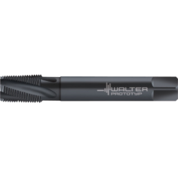 (S22) 25460-NPT 1 MASCHI WALTER 