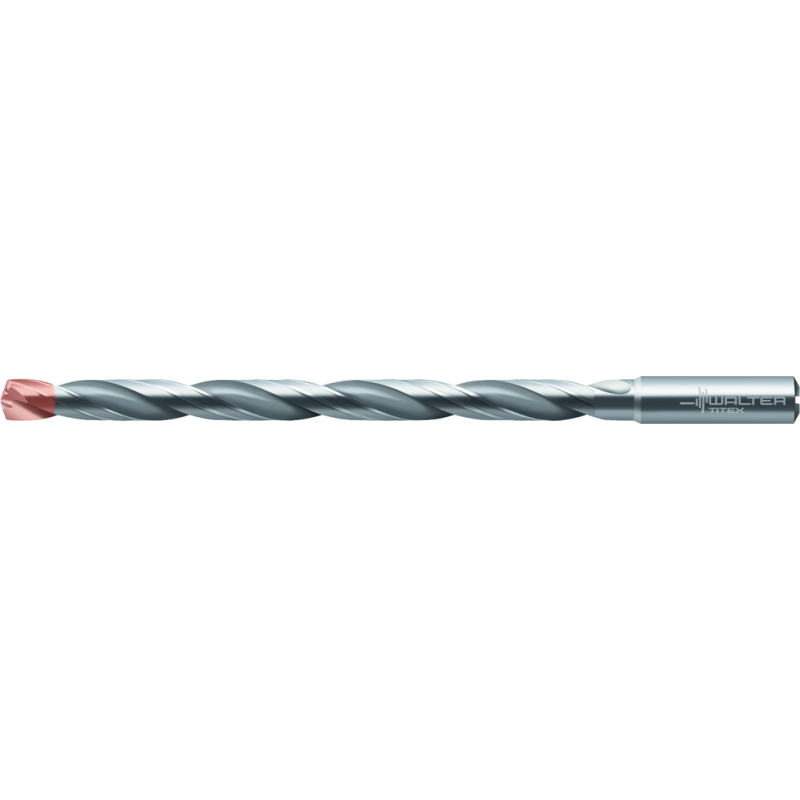 A6589DPP D3 PUNTE 12XD CF MD WALTER  